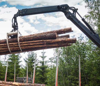 Forestry Crane Web