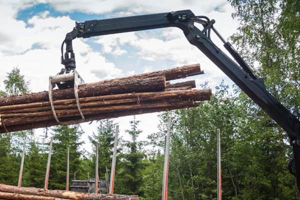 Forestry Crane Web