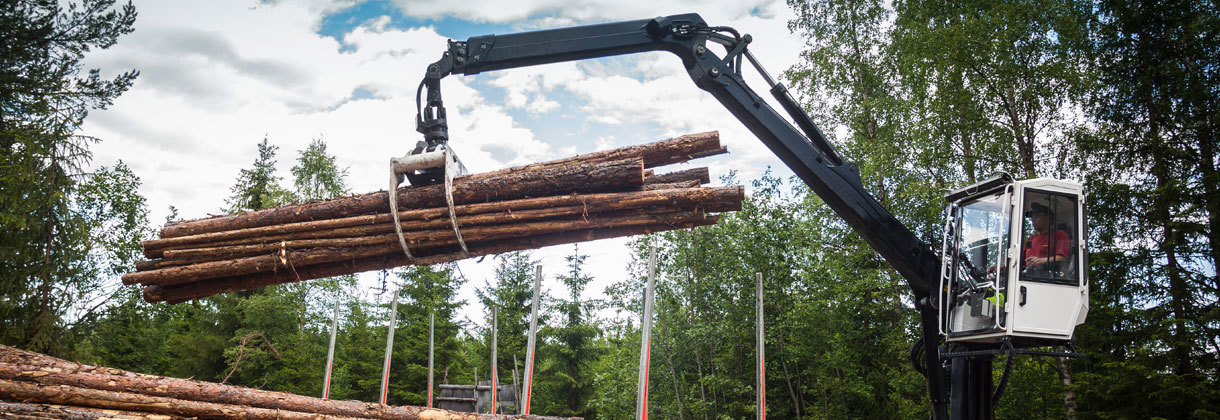 Forestry Crane Web